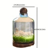 Botella Ecosistema Japonesa de Cristal - 3