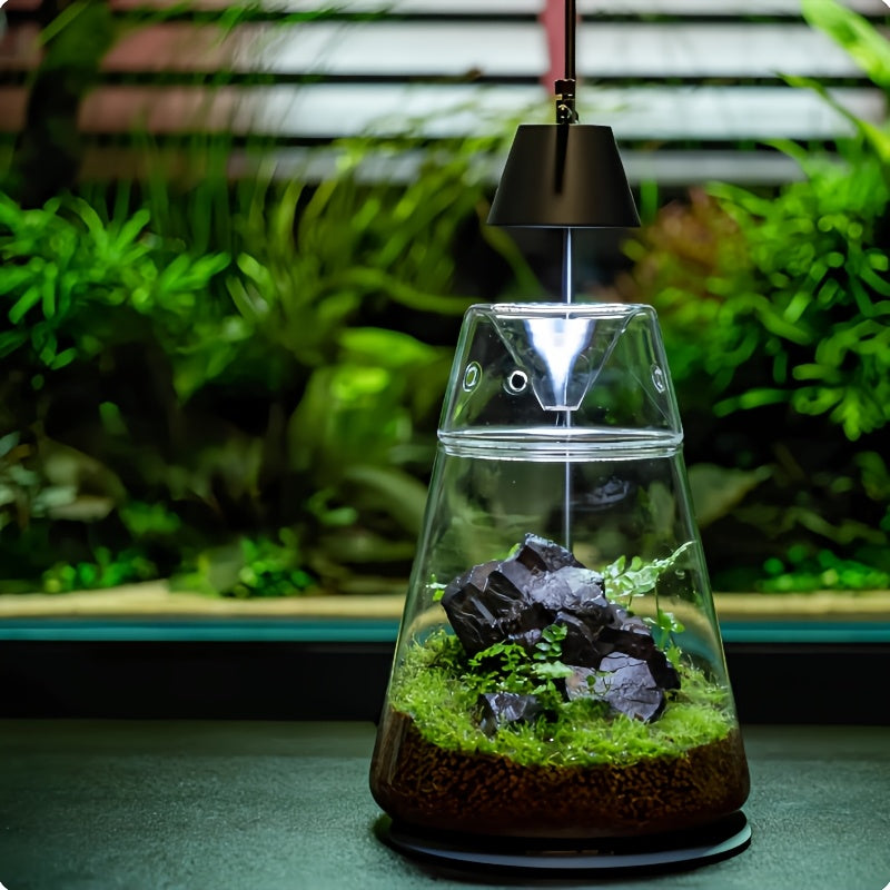 Terrario Geométrico de Vidrio para Suculentas